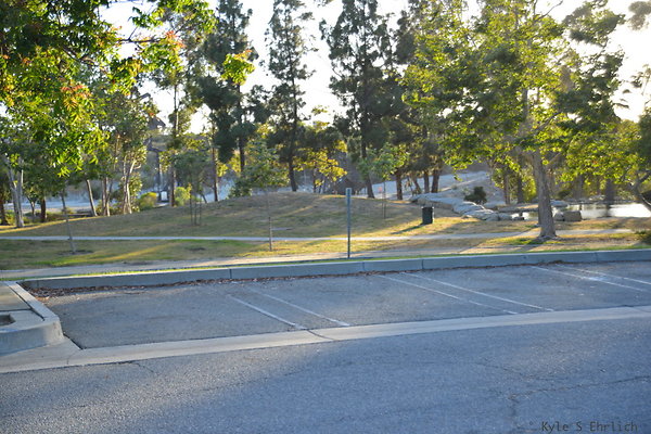 DSC 5621