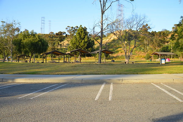 DSC 5607