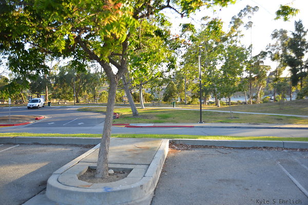 DSC 5674