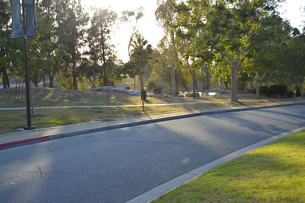 DSC 5630