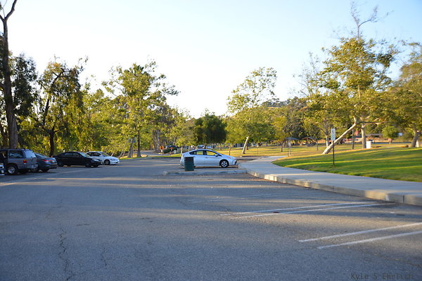 DSC 5668