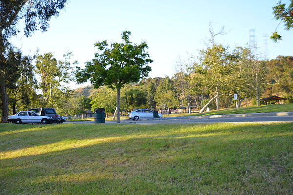 DSC 5664