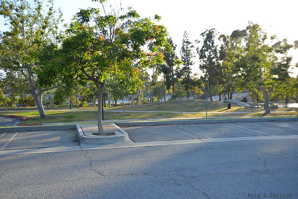 DSC 5620