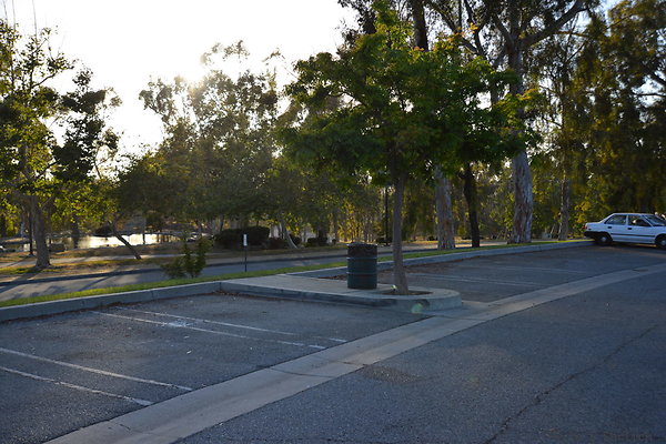 DSC 5676