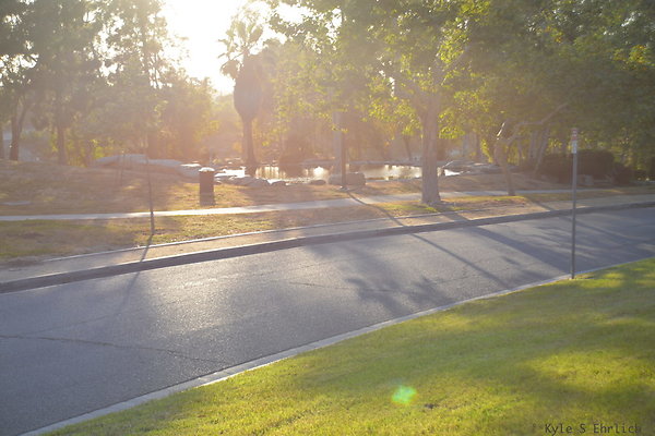 DSC 5629