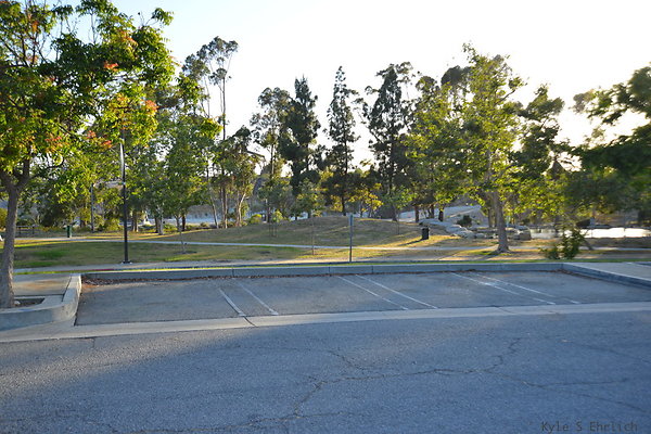 DSC 5625
