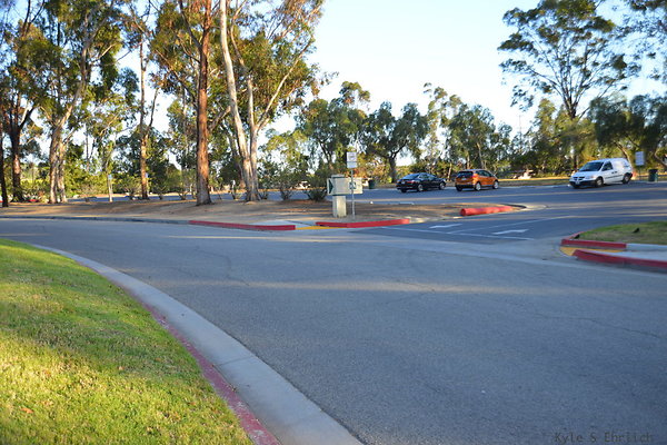 DSC 5655