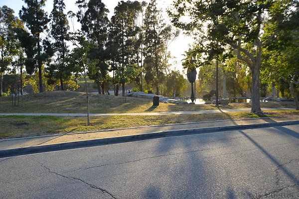 DSC 5658