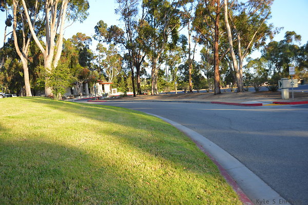 DSC 5645