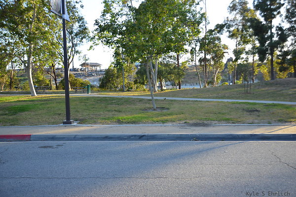DSC 5647