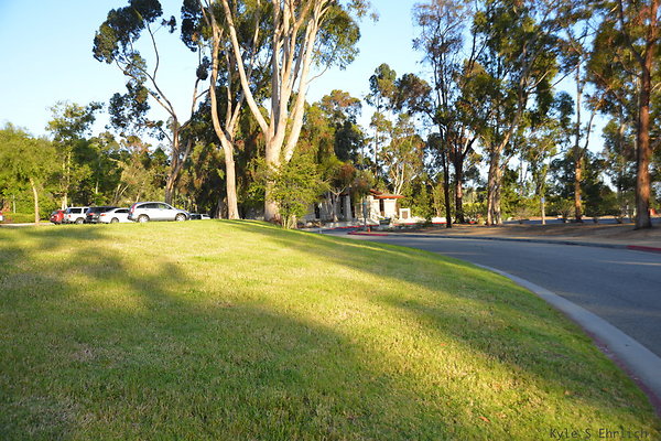 DSC 5654