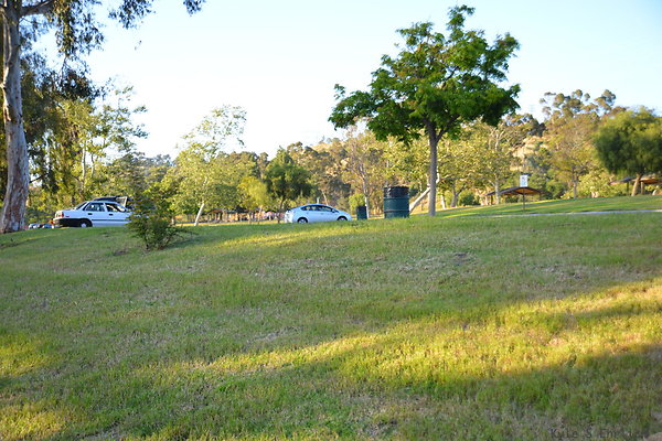 DSC 5651