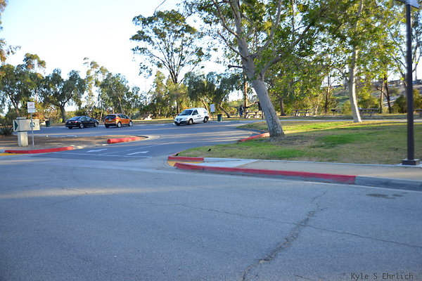 DSC 5646