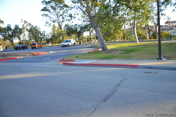 DSC 5656