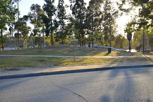 DSC 5648