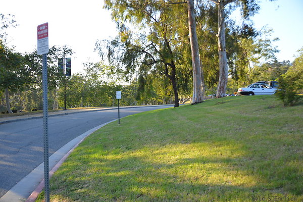 DSC 5650