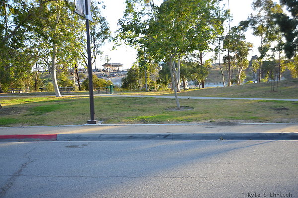 DSC 5657