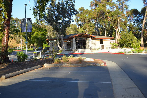 DSC 5530