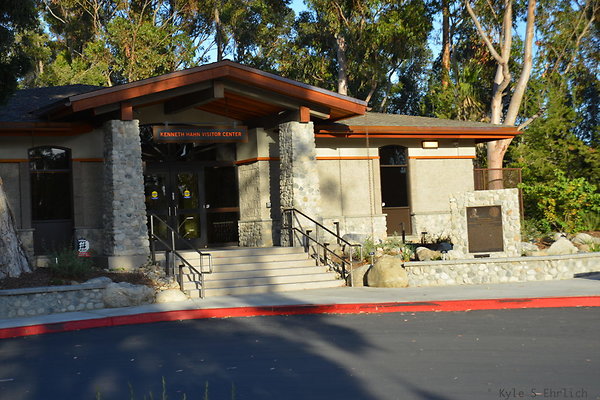 DSC 5539