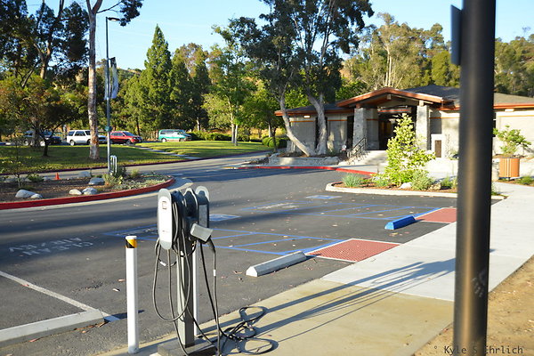 DSC 5565
