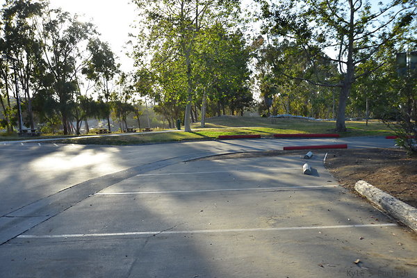 DSC 5578