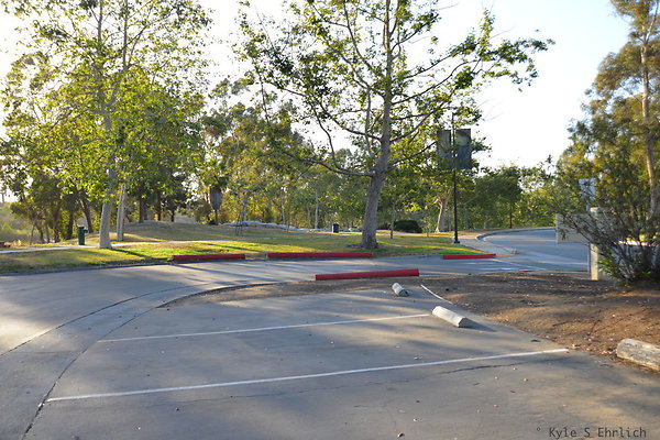 DSC 5581