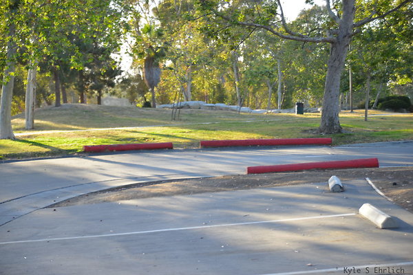 DSC 5580