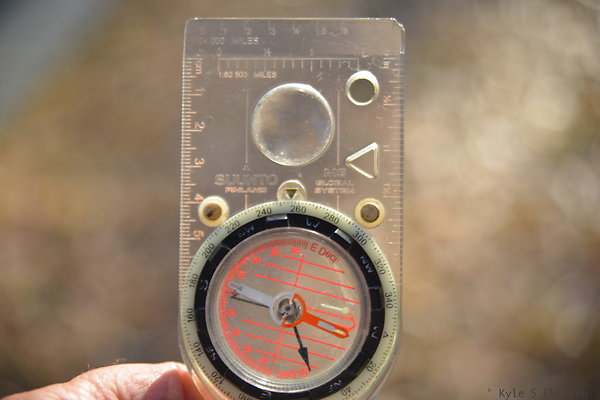 DSC 5440