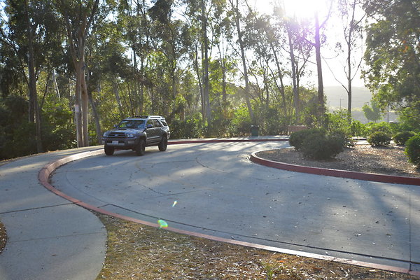 DSC 5441