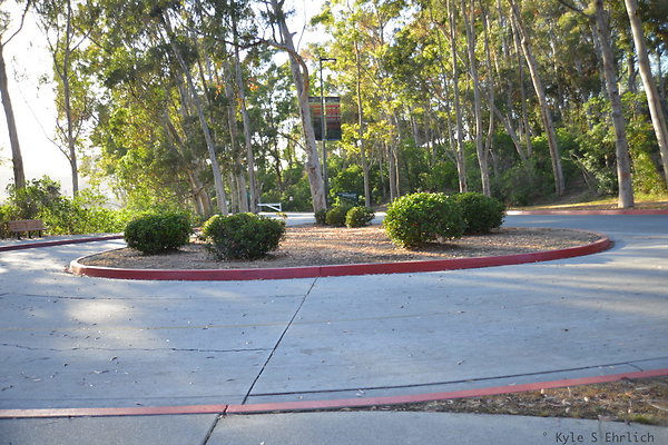 DSC 5447