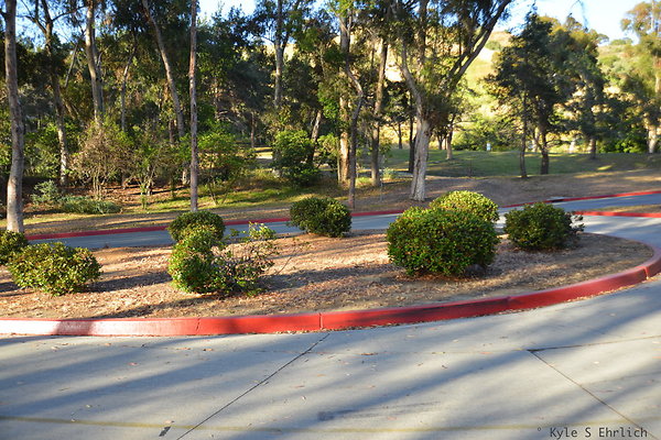 DSC 5459