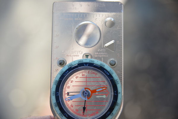 DSC 5453