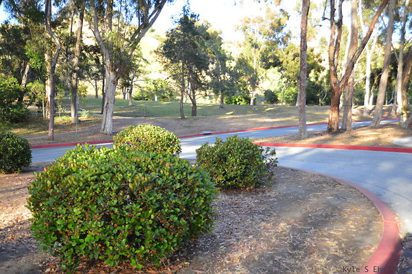 DSC 5474