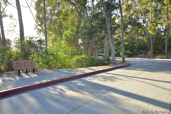 DSC 5470