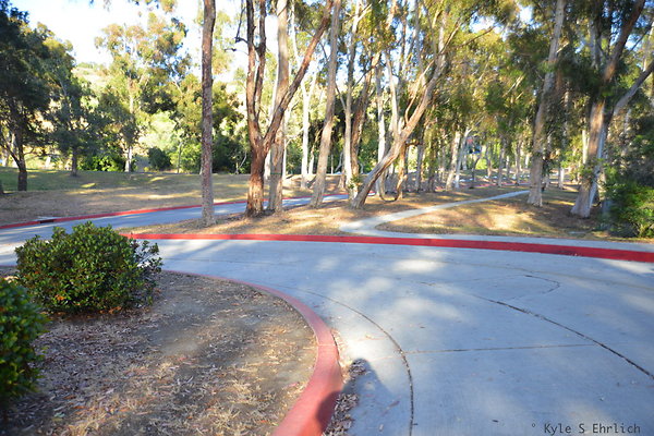DSC 5475