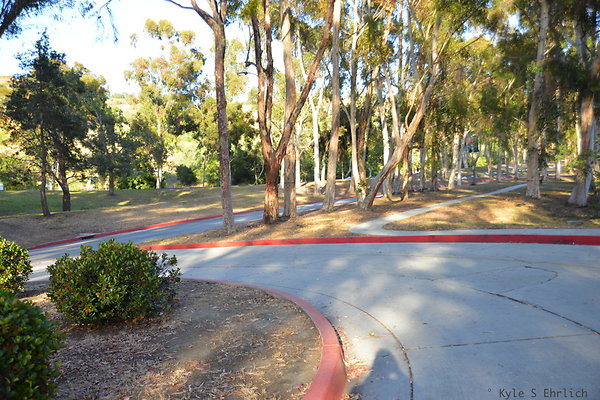 DSC 5465