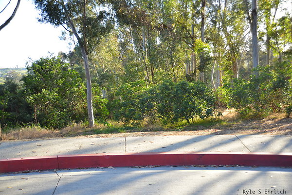 DSC 5468