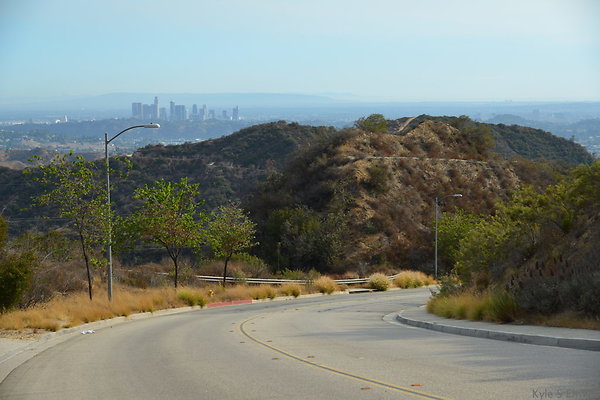 DSC 9464