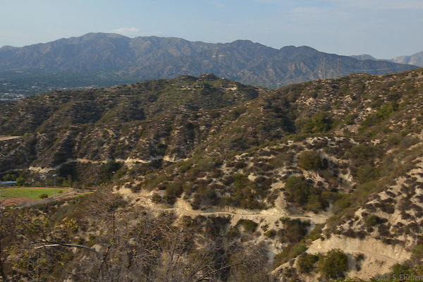 DSC 9547