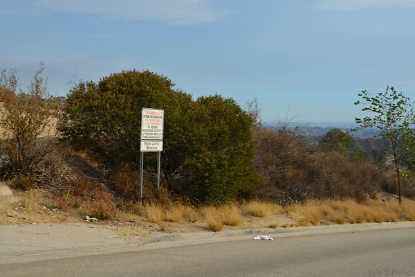 DSC 9493