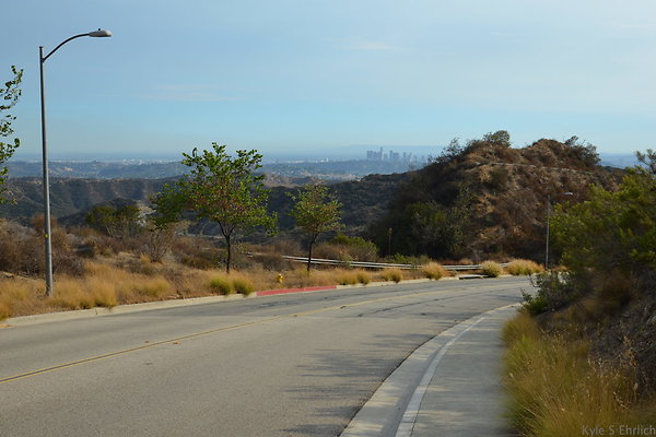 DSC 9505