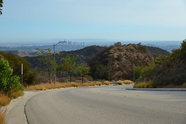 DSC 9469