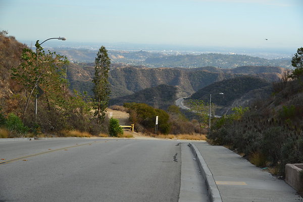 DSC 9534