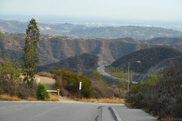 DSC 9535