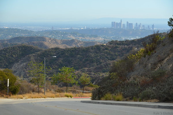 DSC 9455