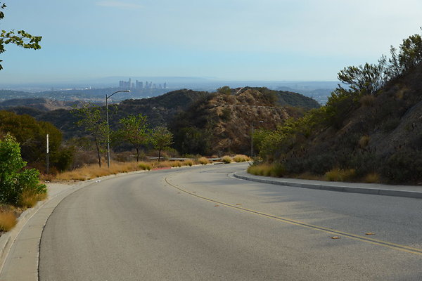 DSC 9463