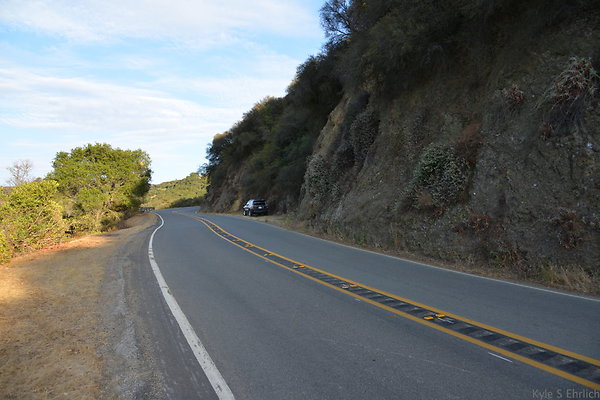 DSC 8799