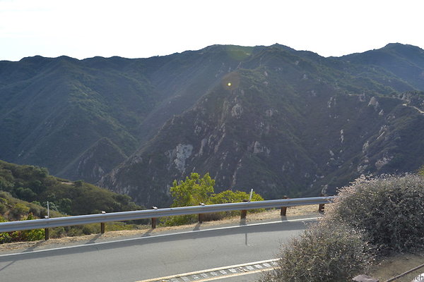 DSC 8531