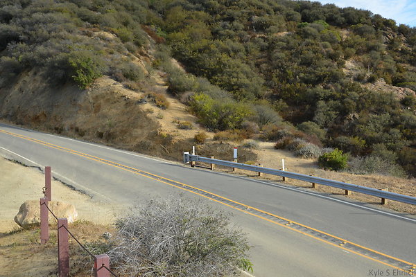 DSC 8529