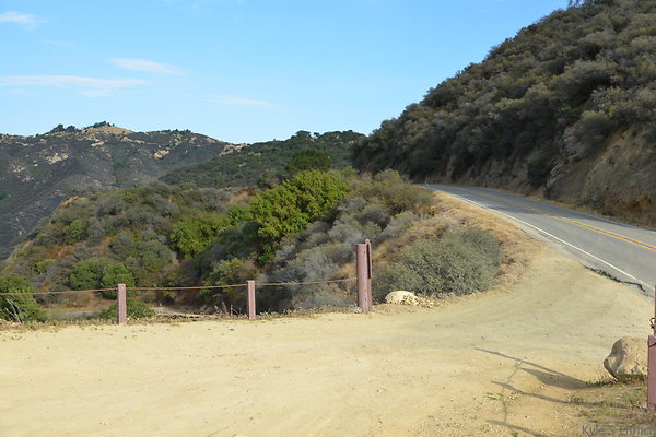 DSC 8528